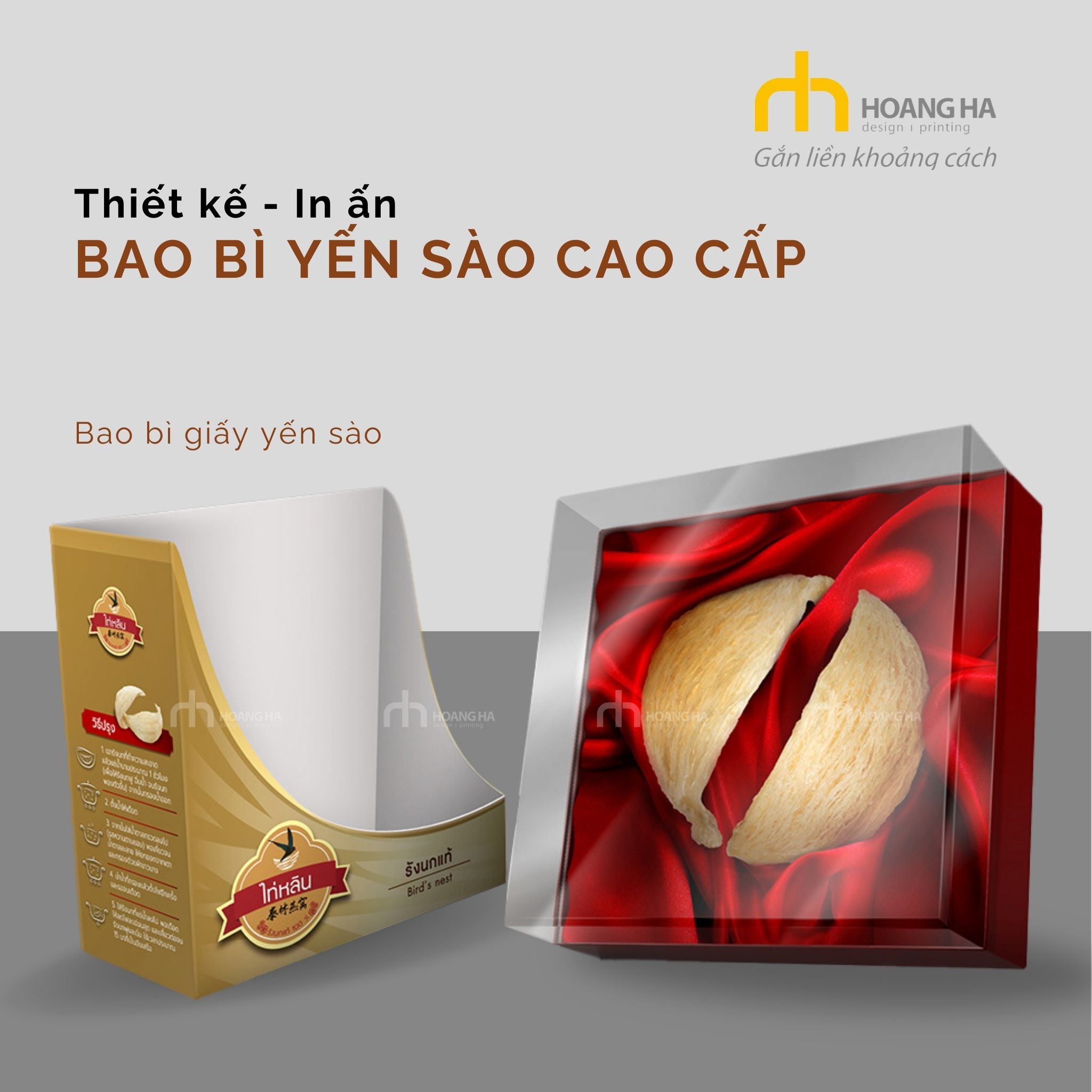 thiết kế - in ấn bao bì yến sào cao cấp